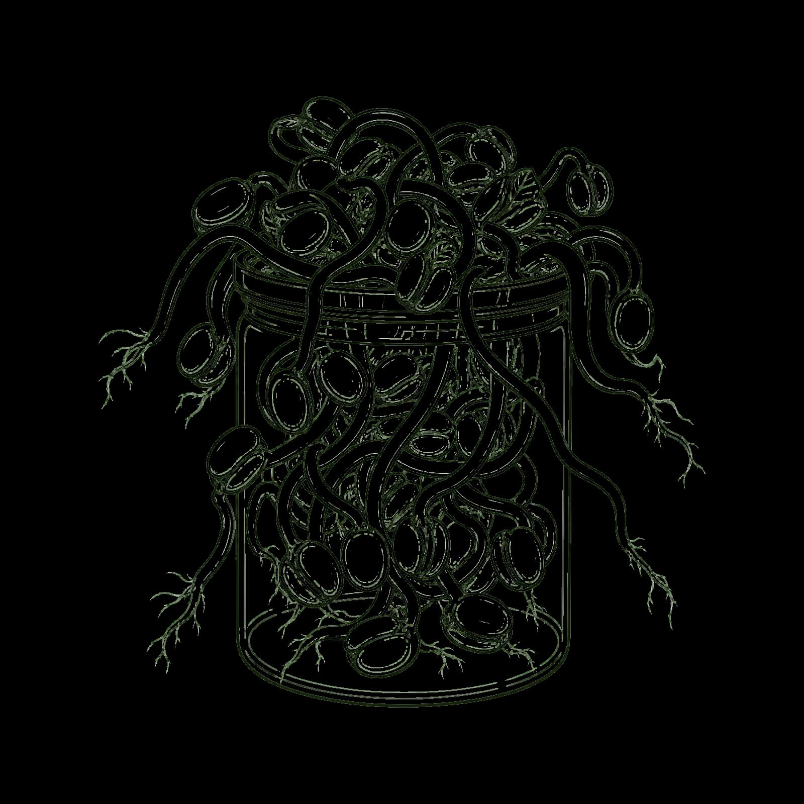 Ilustrasi Tauge