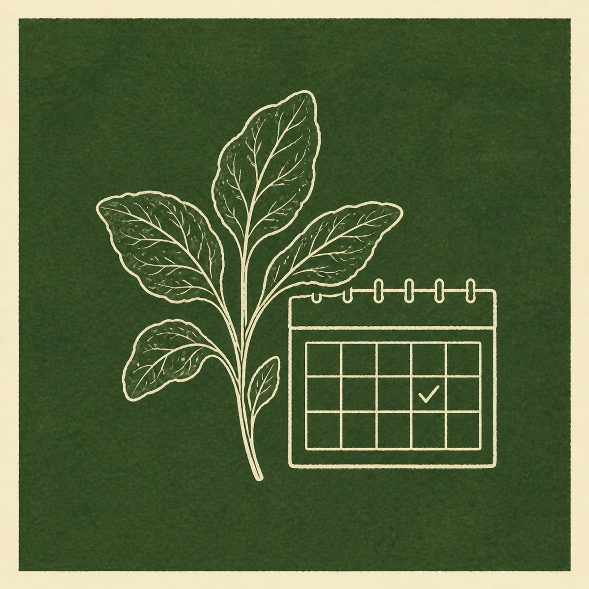 1: kartu ajakan dengan sketsa garis daun bayam dan kalender kecil, dominan warna pine dengan teks krem